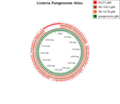 View of a pangenome BLAST atlas of 3 genomes